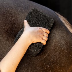 LAMI CELL SHINE Scrubber svamp