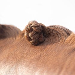 QHP Voksstick til fletning af man og hale. Sort