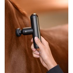 WALDHAUSEN W-Health &amp; Care PocketRelax Massagepistol