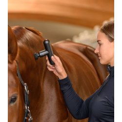 WALDHAUSEN W-Health &amp; Care PocketRelax Massagepistol