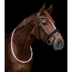 WALDHAUSEN LED Halsring til hest eller hund