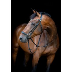 HORSEGUARD CRYLL 26.1 Trense med hannoveransk n�seb�nd