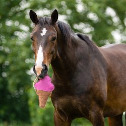 QHP SNACKBAR Boksleget�j. Vaffelis