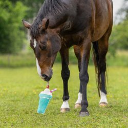 QHP SNACKBAR Boksleget�j. Milkshake