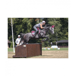 EQUINE FUSION ACTIVE JOGGING SHOE. SLIM. Boots til heste.