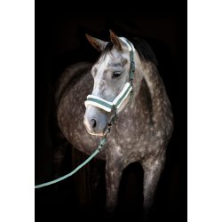 CATAGO LOGI Grime med kunstpels. Laurel Wreath