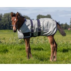 QHP Insektd�kken til f�l