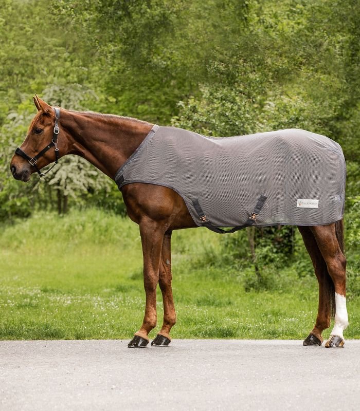 Coperta Antipioggia Waldhausen Economic Per Cavalli | Verde Abete 135 Cm | Impermeabile E Traspirante In Poliestere 420D | Ideale Per Esterno