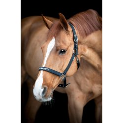 HORSEGUARD MALVA Grime. Sort. "My Favorite"