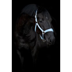 HORSEGUARD DIYA 2.0 Grime. Blue Fog