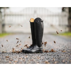 QHP ROMY Junior. Lderridestvle. Bred model