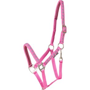 HORSEGUARD BUTTERFLY Grime. Phlox Pink