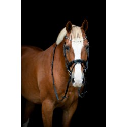 HORSEGUARD EMI 25.2 trense med kombineret nsebnd. Sort