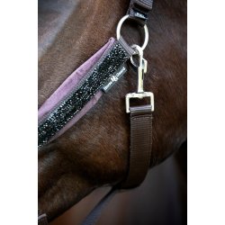 HORSEGUARD ANGEL Grime. After Dark