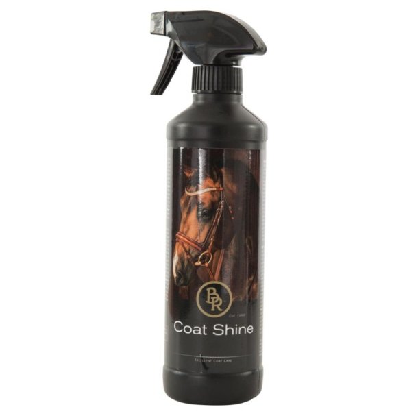 BR Showshine. 500mL spray