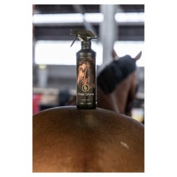 BR Showshine. 500mL spray