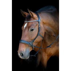 HORSEGUARD Bidl�s trense. Sort