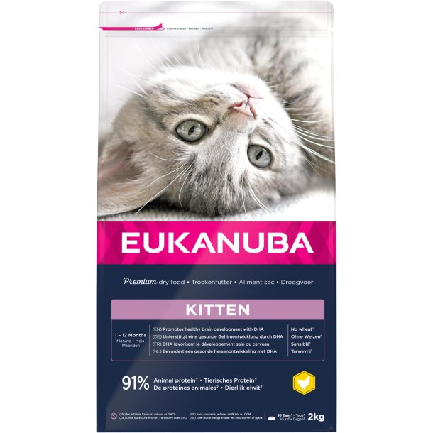 EUKANUBA CAT Kitten 2 kg