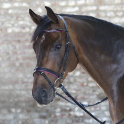 WALDHAUSEN DIAMOND Trense