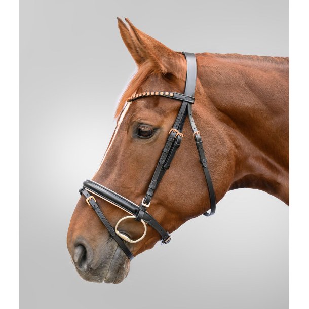 WALDHAUSEN ROSEGOLD trense