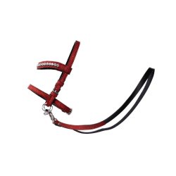 MY HOBBY HORSE Trense med bid, til kphest. Rd Glitter