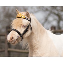 QHP Krone til hest eller pony