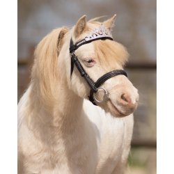 QHP Krone til hest eller pony