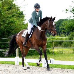 QHP NOVEN St�vnejakke. Palm Green