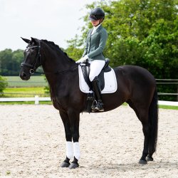 QHP NOVEN St�vnejakke. Palm Green