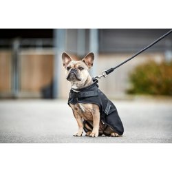 CATAGO Hybrid hundedkken