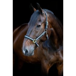 HORSEGUARD STRIPED Grime. Sort