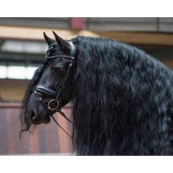 QHP SELENE Anatomisk trense inkl. t�jler