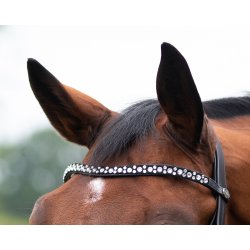 QHP ORLANDO Trense med kombineret n�seb�nd. Sort