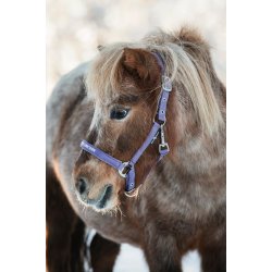 HORSEGUARD MALVA Grime. Montana Grape. "My Favorite Unicorn"