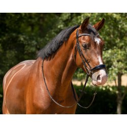 QHP PHAEDRA Anatomisk trense inkl. t�jler