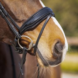 QHP SKYE Trense med kombineret n�seb�nd