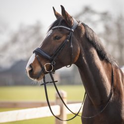 QHP SKYE Trense med kombineret n�seb�nd