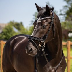 QHP SENSISOFT Anatomisk trense inkl. t�jler