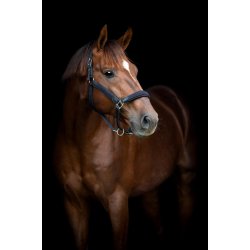 HORSEGUARD VARDIE Flet grime. Navy