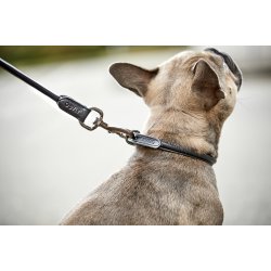 CATAGO Rundsyet hundehalsbnd.