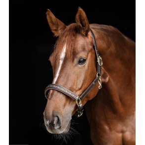 WALDHAUSEN CRYSTAL Ldergrime. Brun