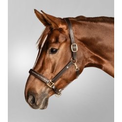 WALDHAUSEN CRYSTAL Ldergrime. Brun