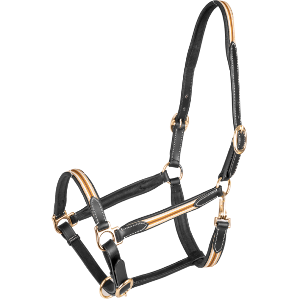 WALDHAUSEN OXFORD X-Line l�dergrime. Beige