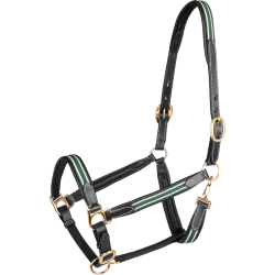 WALDHAUSEN OXFORD X-Line l�dergrime. Gr�n