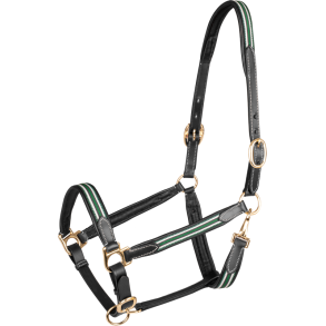 WALDHAUSEN OXFORD X-Line l�dergrime. Gr�n