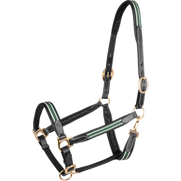 WALDHAUSEN OXFORD X-Line l�dergrime. Gr�n