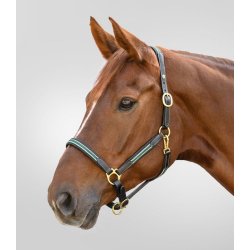 WALDHAUSEN OXFORD X-Line l�dergrime. Gr�n