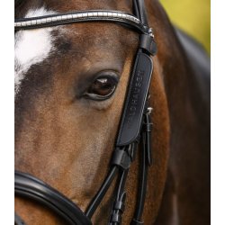 WALDHAUSEN Blinker/skyklap.