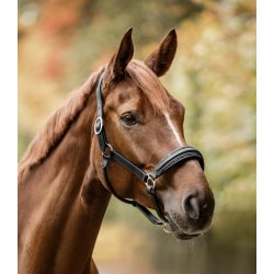 WALDHAUSEN S-LINE GLAMOUR Ldergrime. Sort