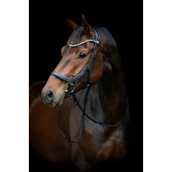 HORSEGUARD VINJA Anatomisk trense. Sort